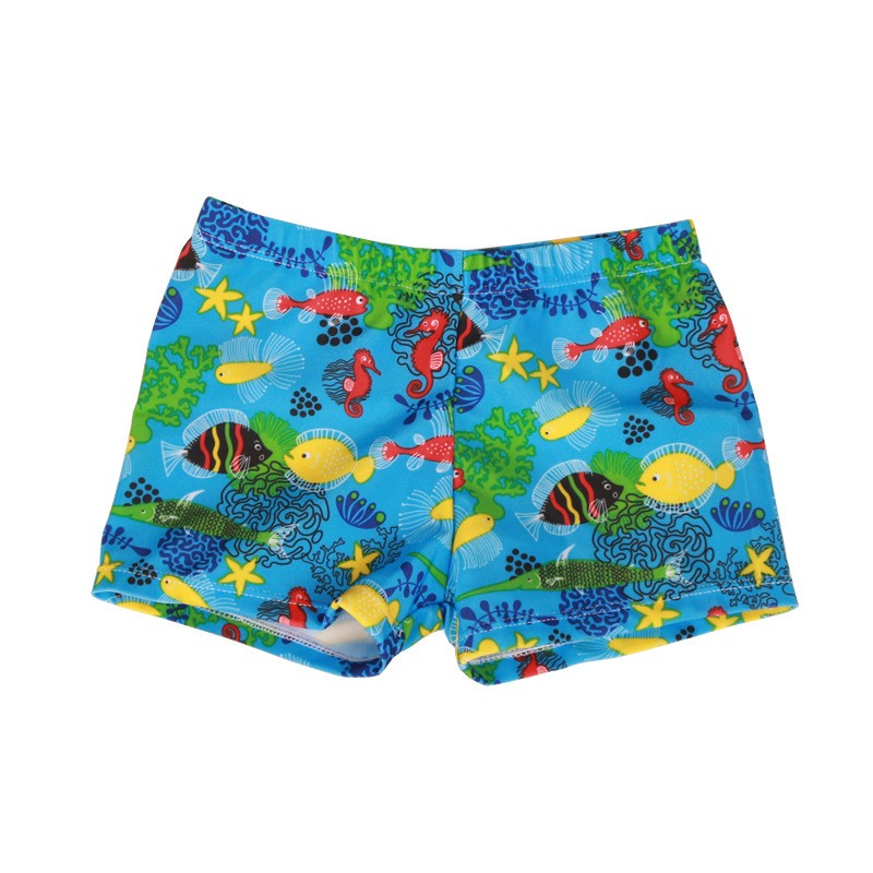 Sea animal printed boys swimsuit