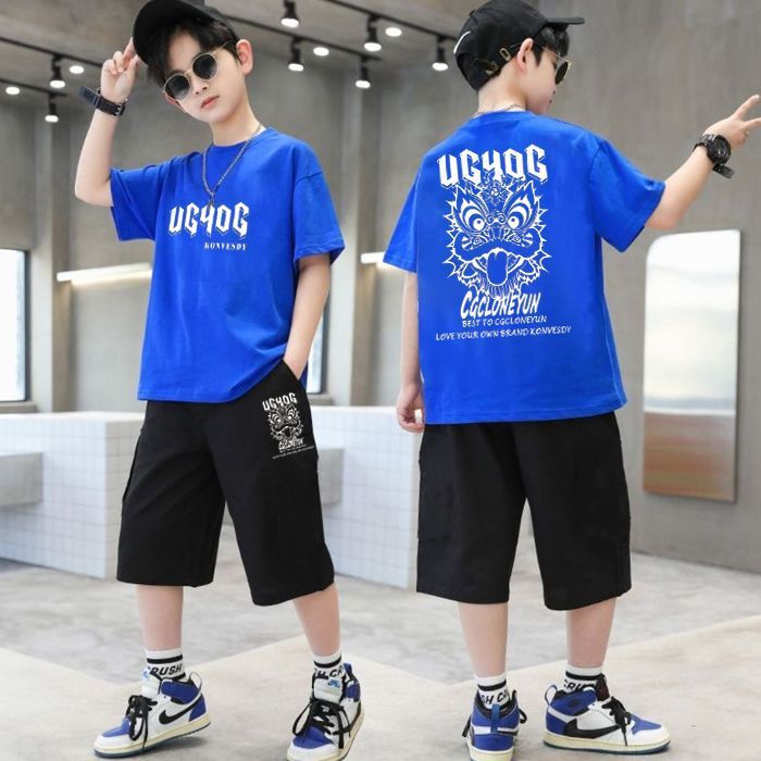 Cool Printed Summer T-Shirt And Half Pants Set For Boys