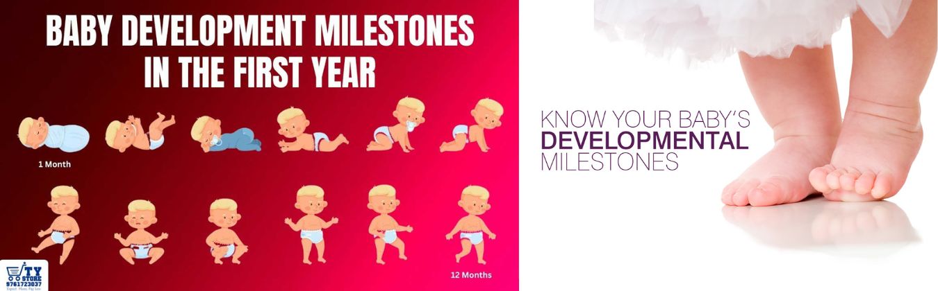 Understanding Development Milestones of your Baby : A Guide for Parents from New Born to Twelve Months